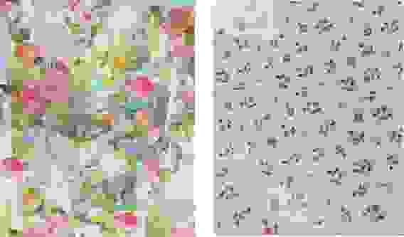 Клеенка LINEAL, FLORISTA 140 см