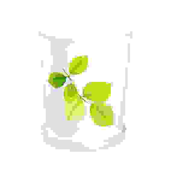 Горшок цв. &quot;Совершенство&quot; 1,2л. с под.(белый)(уп.21)