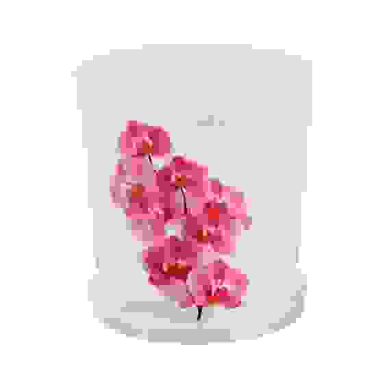 Горшок цв. для орхидеи 1,8 л.с под.(прозрач)(уп.30)