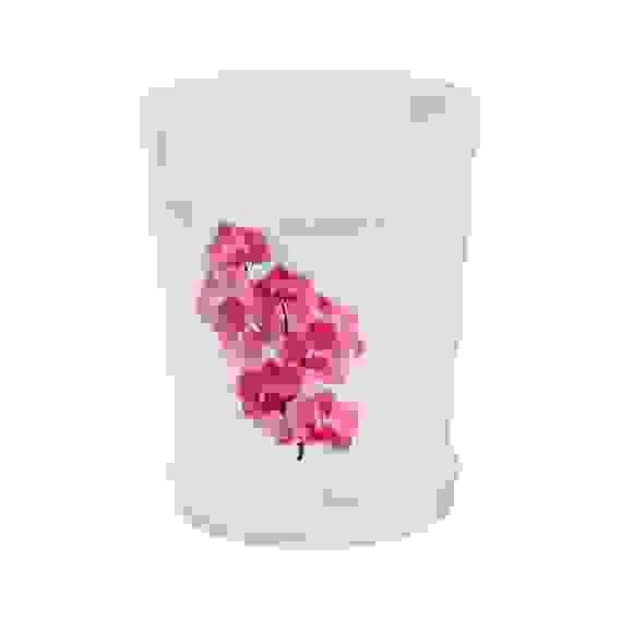 Горшок цв. для орхидеи 3,5 л.с под.(прозрач)(уп.20)