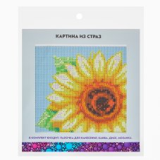 Картина из страз, 25х25см, полотно, стекло, стик, "Цветочный карнавал", 5 дизайнов