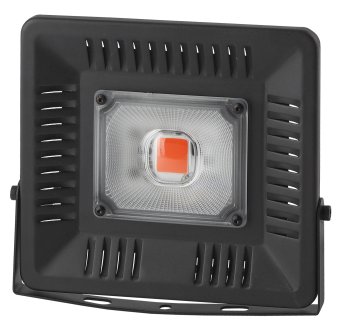 Прожектор ЭРА FITO-50W-LED Bluered