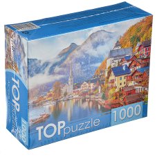 Пазлы TOPpuzzle, 1000 деталей, картон, 19х15x6,7см, 10 дизайнов РЫЖИЙ КОТ