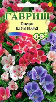 Семена цветов годеция Клумбовая смесь окрасок 0,1г Гавриш