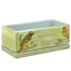 Горшок Кактусник 1,3л 24*12/h9см NK0203 Сады Аурики