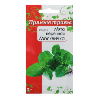 Семена Мята