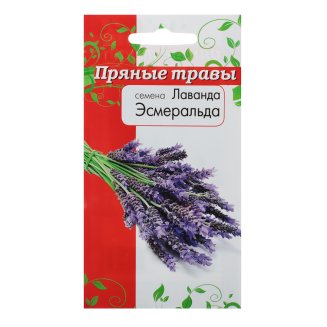 Семена Лаванда