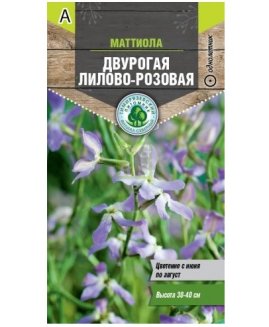 Семена Тимирязевский питомник цветы Маттиола двурогая Лилово-розовая 0,5 г
