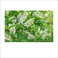 Салфетка "Черёмуха" 39*25см FJ51-3
